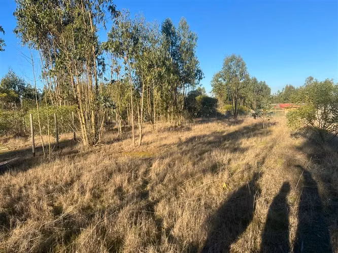 Parcela en venta en Algarrobo