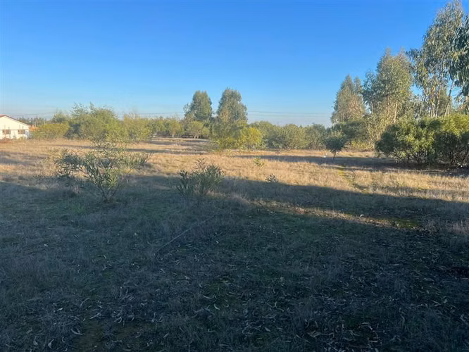 Parcela en venta en Algarrobo