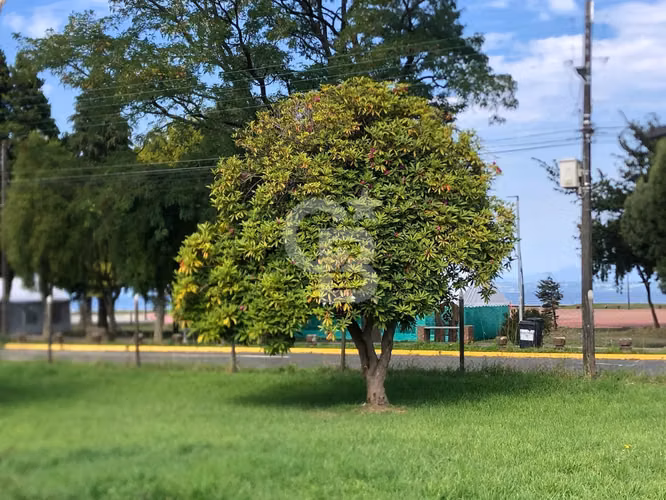 Terreno en primera línea en la costanera de Llanquihue