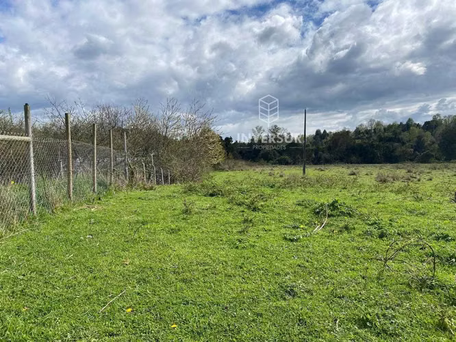 Parcelas planas en Rio Bueno (153551)