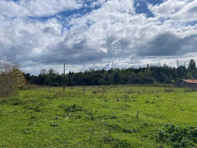 Parcelas planas en Rio Bueno (153551)