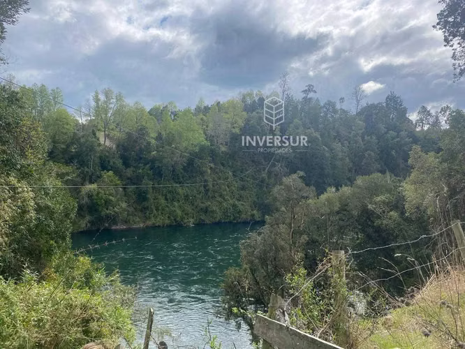 Parcelas planas en Rio Bueno (153551)