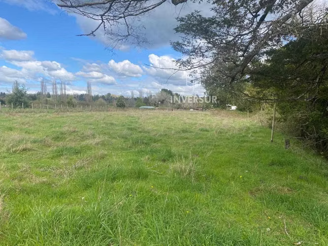 Parcelas planas en Rio Bueno (153551)