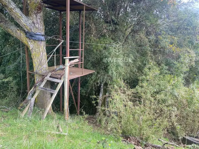Parcelas planas en Rio Bueno (153551)