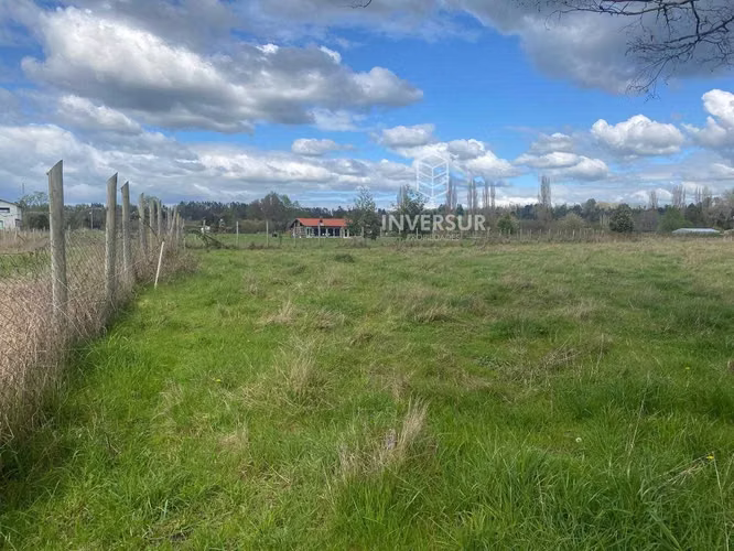 Parcelas planas en Rio Bueno (153551)