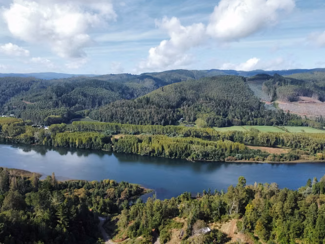 Parcela En Venta 5.000 M2 Sector San Javier, Valdivia