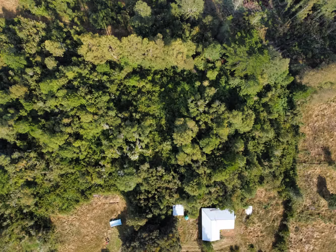Parcela En Venta 5.000 M2 Sector San Javier, Valdivia
