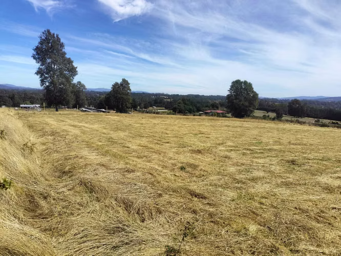 VENTA PARCELA A 25 MINUTOS DE VILLARRICA (153553)