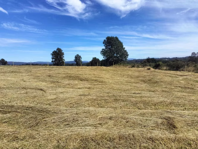 VENTA PARCELA A 25 MINUTOS DE VILLARRICA (153553)