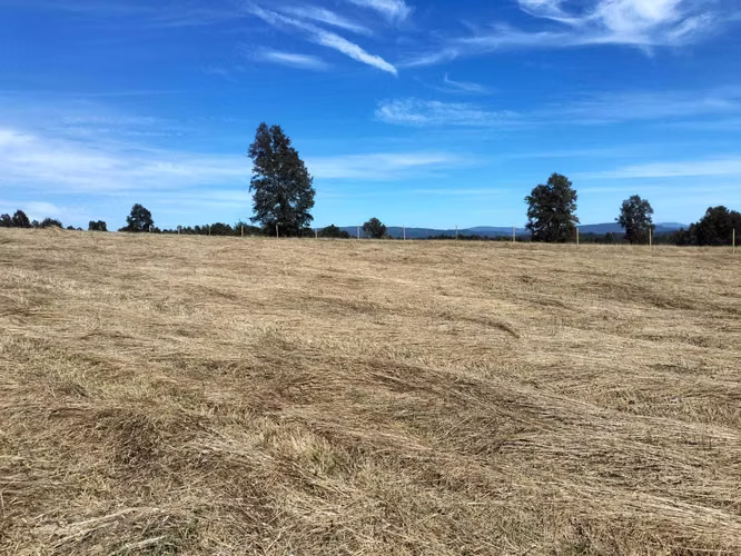 VENTA PARCELA A 25 MINUTOS DE VILLARRICA (153553)
