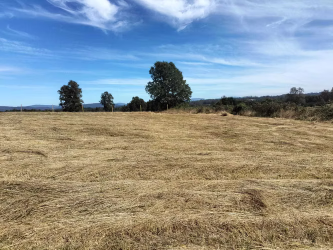 VENTA PARCELA A 25 MINUTOS DE VILLARRICA (153553)