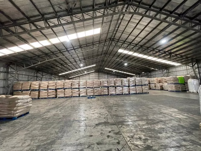 Oportunidad Única en Sector Industrial Clave (153673)