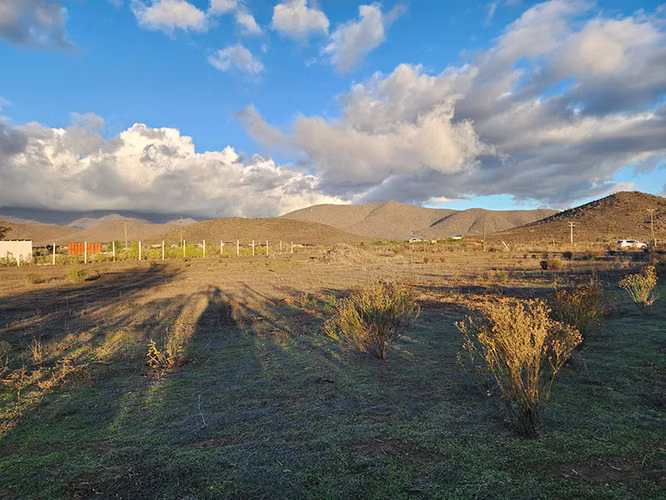 Se vende Parcela 5000 m2 Las Barrancas, Coquimbo