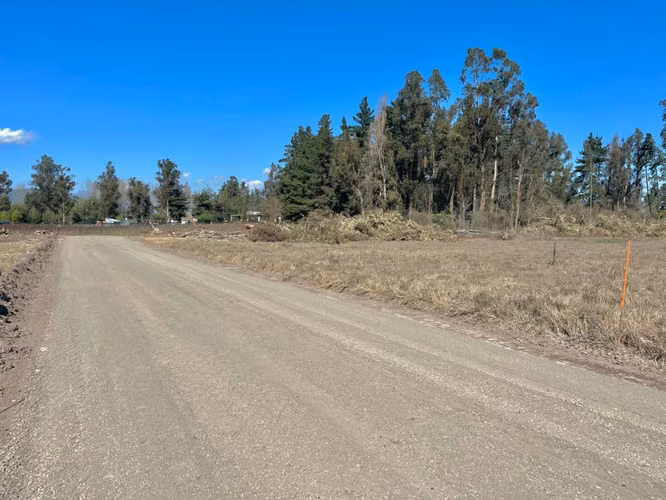 5000m2 Rapel orilla lago muelle  (153860)