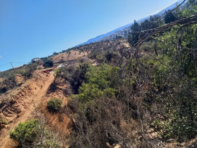 EXCELENTE TERRENO LINDA VISTA FUNDO LOMAS DEL CARMEN