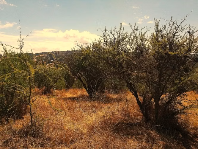 PARCELA HERMOSA VISTA  INGRESO POR PEÑABLANCA
