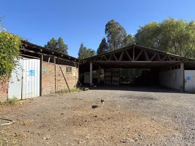 CAMPO DE 50 HÁ A SOLO 3 KMS DE LA RUTA 5 SUR