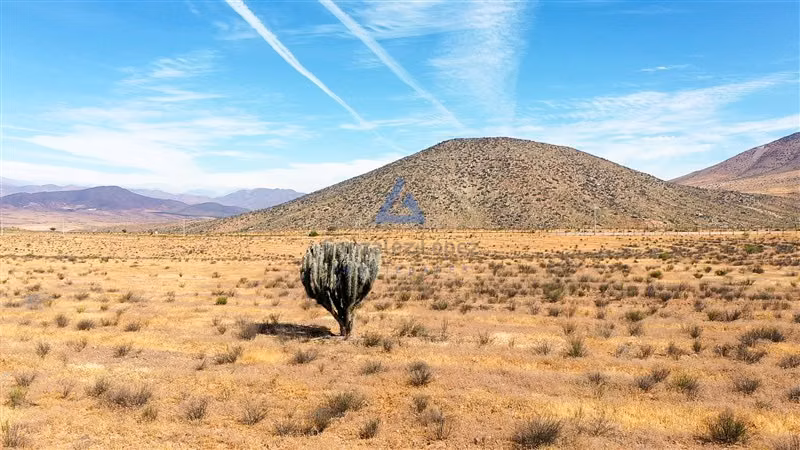 Terreno 11 ha Ruta D-43 Ovalle ideal proyecto energético