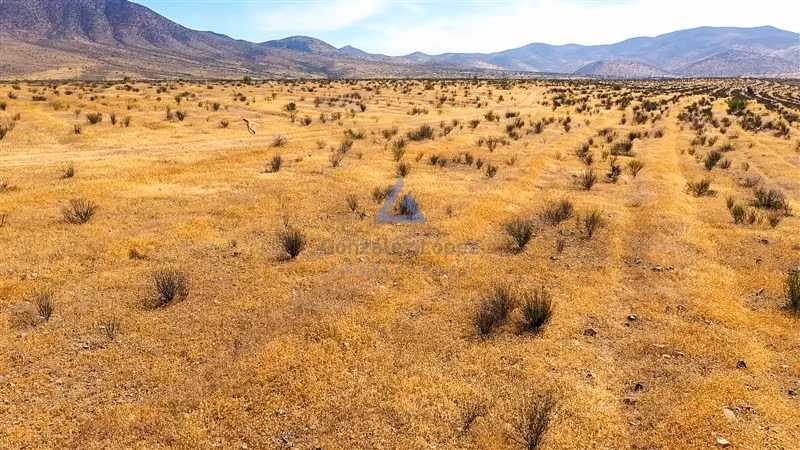Terreno 11 ha Ruta D-43 Ovalle ideal proyecto energético