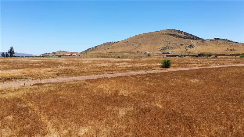 Terrenos planos 5.000 m con rol en Campo Lindo, Ovalle