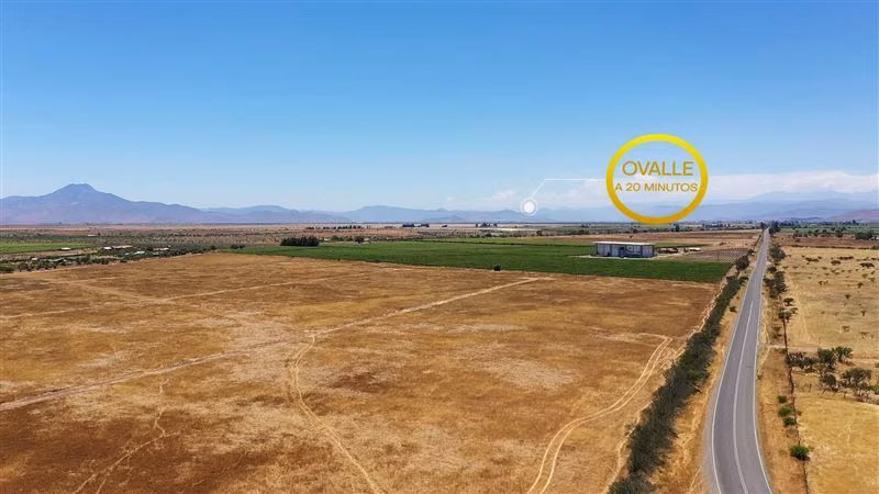 Terrenos planos 5.000 m con rol en Campo Lindo, Ovalle