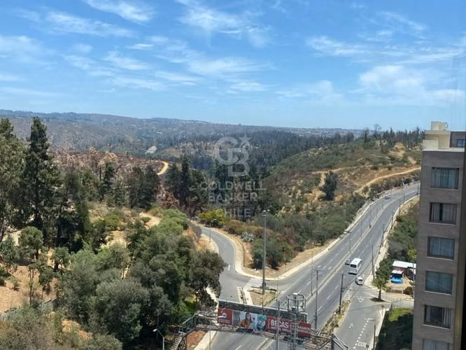 Dpto. Frente U. Santa Maria de Viña del Mar