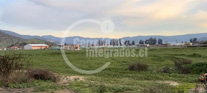 Parcela en venta en María Pinto