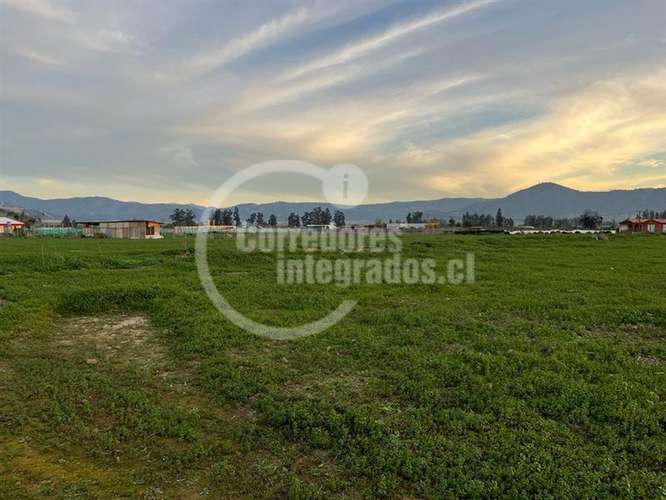 Parcela en venta en María Pinto