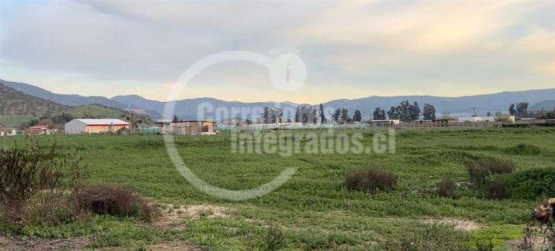Parcela en venta en María Pinto
