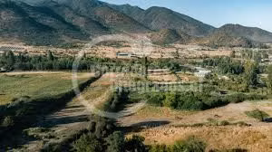 Parcela en venta en Malloa, excelente oportunidad