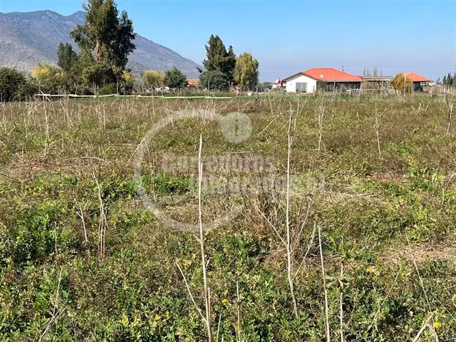 Parcela en venta en Palmilla