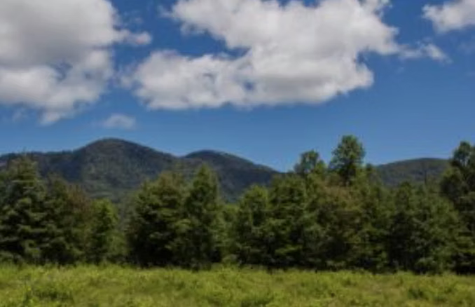 Sitio en venta en Villarrica