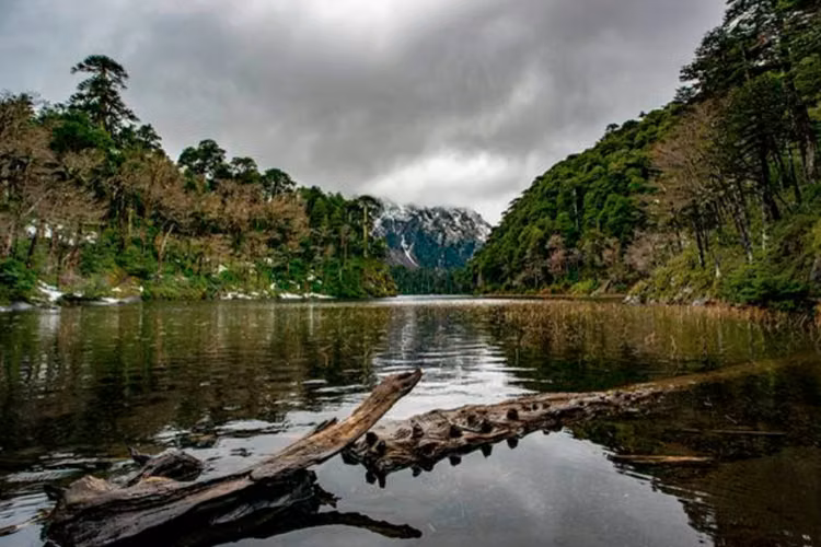Sitio en venta en Villarrica