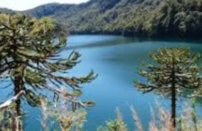 Sitio en venta en Villarrica