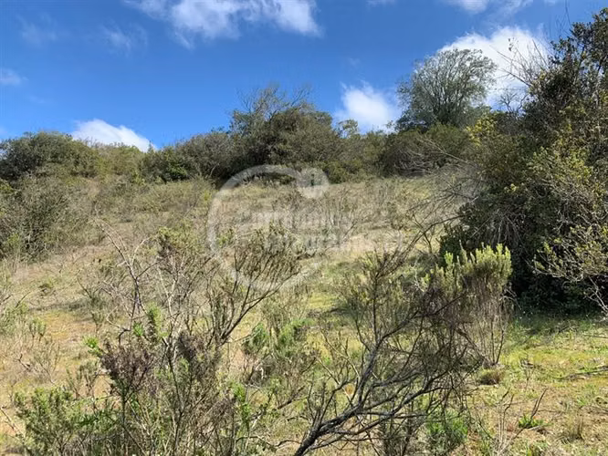 Sitio en Venta en Algarrobo