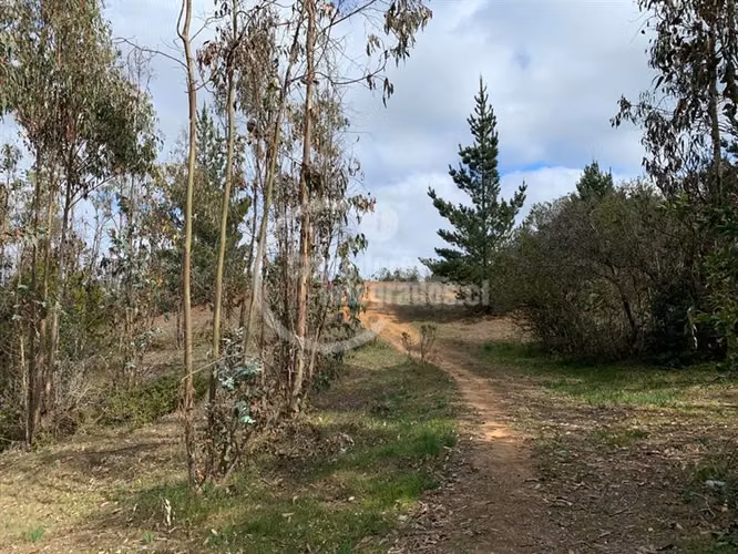 Sitio en Venta en Algarrobo