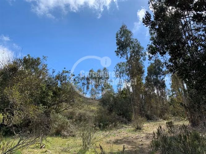 Sitio en Venta en Algarrobo