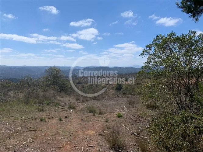 Sitio en Venta en Algarrobo