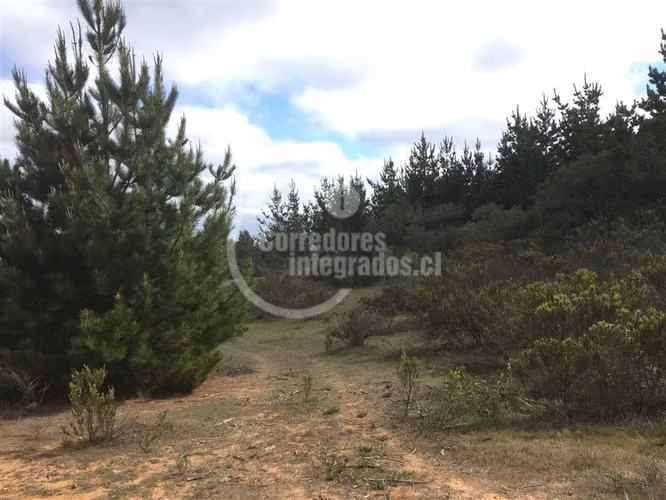 Sitio en Venta en Algarrobo