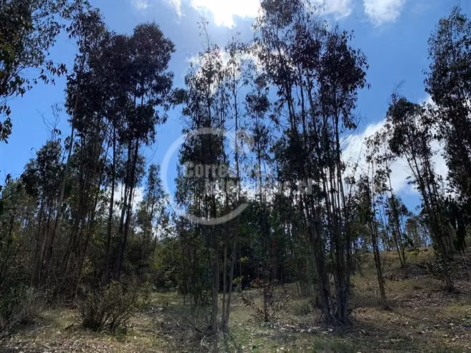 Sitio en Venta en Algarrobo