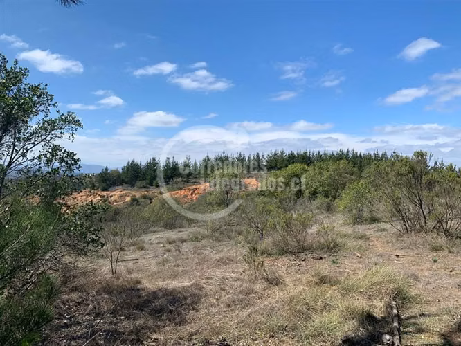 Sitio en Venta en Algarrobo