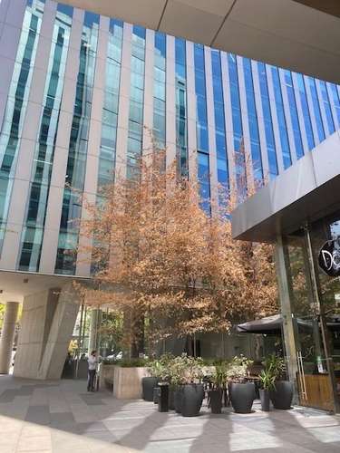Oficina en arriendo en Providencia