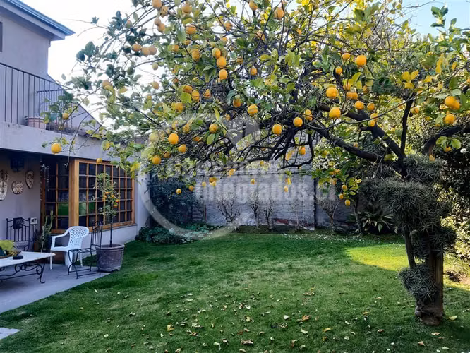 Casa en venta de 4 dorm. en La Reina