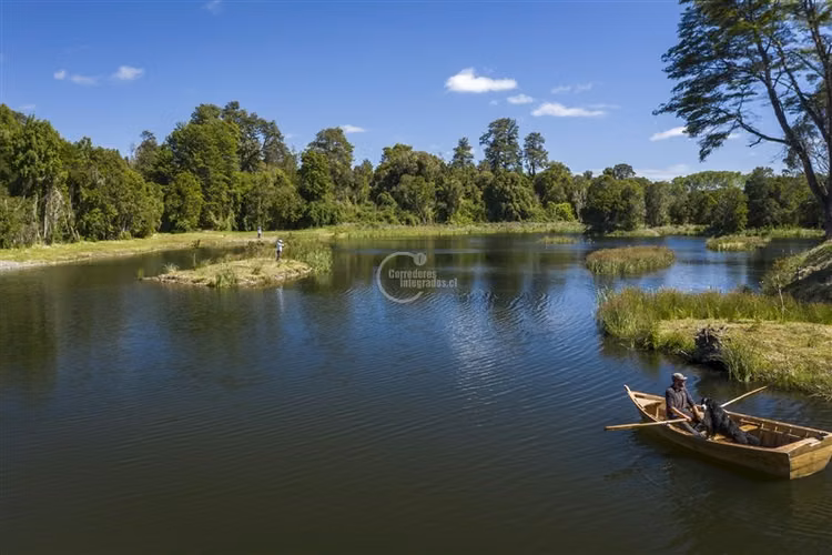 Parcela en venta en Frutillar