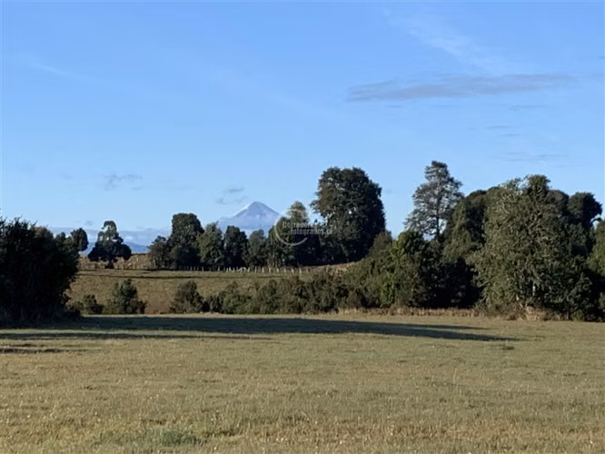 Parcela en venta en Puyehue