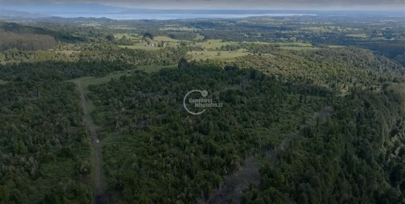 Parcela en venta en Puyehue, Gran vista
