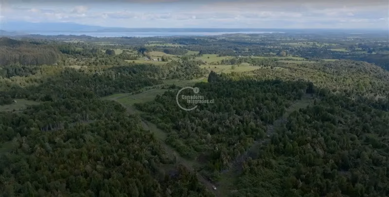 Parcela en venta en Puyehue, Gran vista