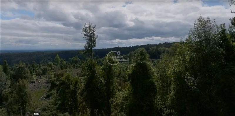 Parcela en venta en Puyehue, Gran vista