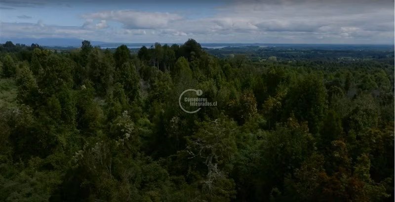 Parcela en venta en Puyehue, Gran vista