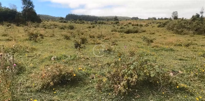 Parcela en venta en Puyehue, Vista Privilegiada